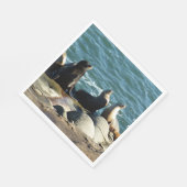 San Diego Zee Lions Servet (Hoek)