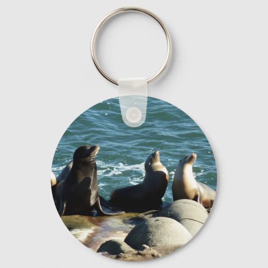 San Diego Zee Lions Sleutelhanger (Voorkant)