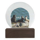 San Diego Zee Lions Sneeuwbol (Achterkant)