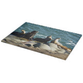 San Diego Zee Lions Snijplank (Hoek)