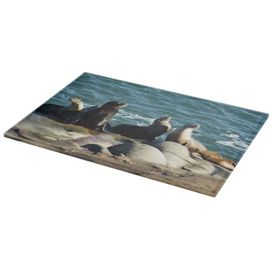 San Diego Zee Lions Snijplank (Hoek)