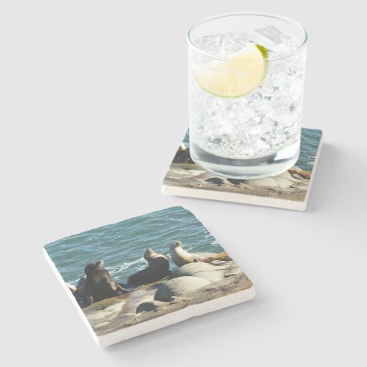 San Diego Zee Lions Stenen Onderzetter (Zijkant)