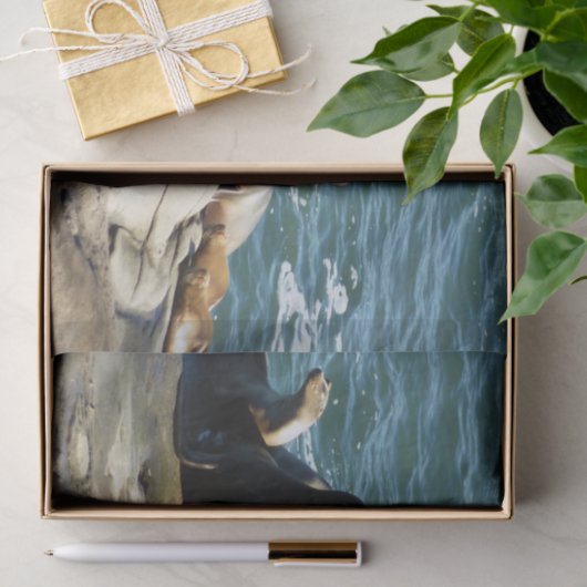 San Diego Zee Lions Tissuepapier (Geschenk)