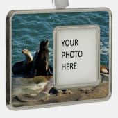 San Diego Zee Lions Verzilverd Omlijst Ornament (Rechts)