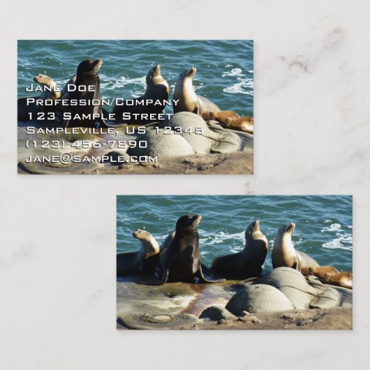 San Diego Zee Lions Visitekaartje (Voorkant / Achterkant)