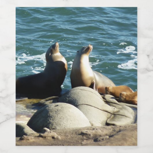 San Diego Zee Lions Wijn Etiket (Enkel label)