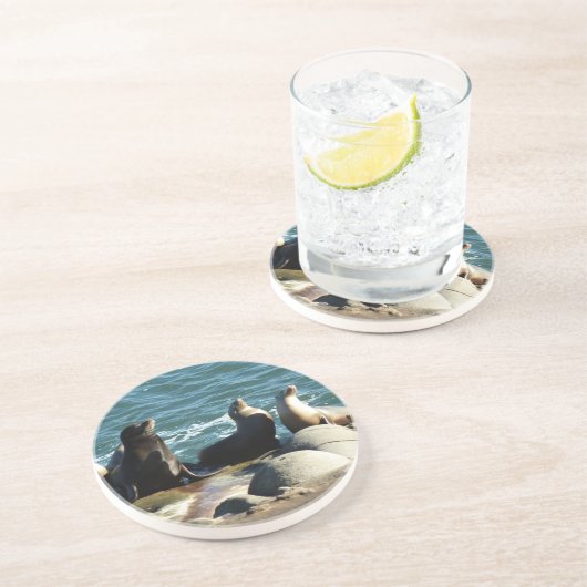 San Diego Zee Lions Zandsteen Onderzetter (Zijkant)