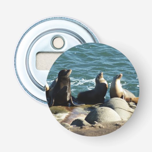 San Diego Zeeleeuwen Button Flesopener (Voorkant)