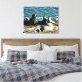 San Diego Zeeleeuwen Canvas Afdruk (Insitu (Slaapkamer))