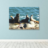 San Diego Zeeleeuwen Canvas Afdruk (Insitu (Houten vloer))