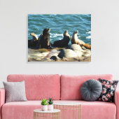 San Diego Zeeleeuwen Canvas Afdruk (Insitu (Woonkamer))