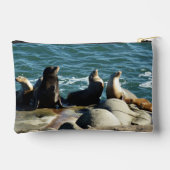San Diego Zeeleeuwen Etui (Achterkant)