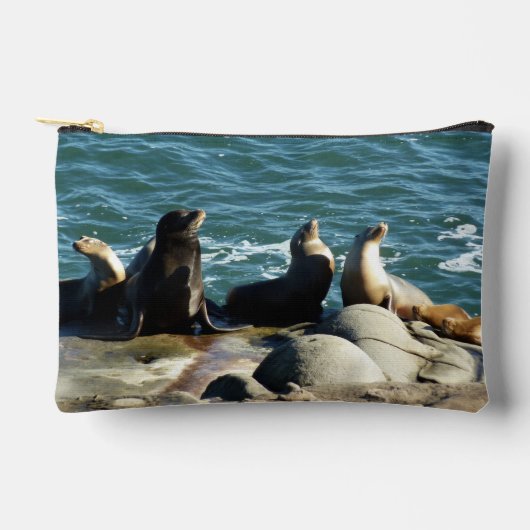 San Diego Zeeleeuwen Etui (Voorkant)