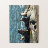 San Diego Zeeleeuwen Legpuzzel (Verticaal)