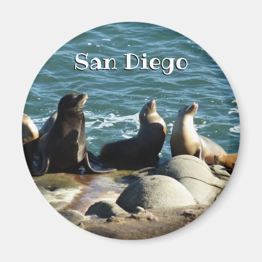 San Diego Zeeleeuwen Magneet (Voorkant)