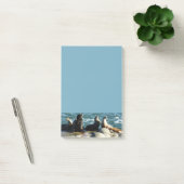 San Diego Zeeleeuwen Post-it® Notes (Kantoor)