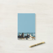 San Diego Zeeleeuwen Post-it® Notes (Op bureau)