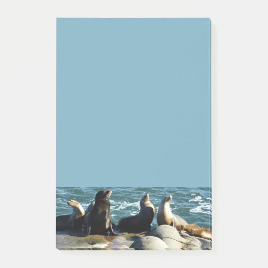 San Diego Zeeleeuwen Post-it® Notes (Voorkant)