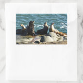 San Diego Zeeleeuwen Rechthoekige Sticker (Tas)