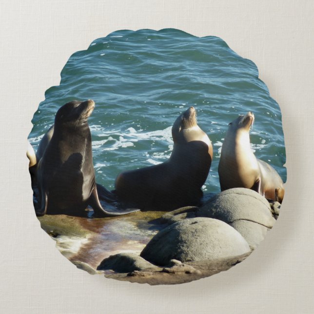 San Diego Zeeleeuwen Rond Kussen (Voorkant)