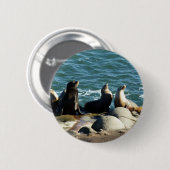 San Diego Zeeleeuwen Ronde Button 5,7 Cm (Voorkant /achterkant)