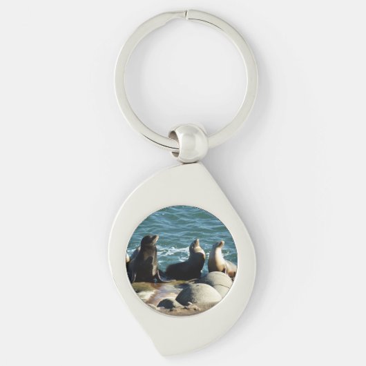 San Diego Zeeleeuwen Sleutelhanger (Voorkant)