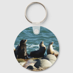 San Diego Zeeleeuwen Sleutelhanger