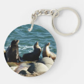 San Diego Zeeleeuwen Sleutelhanger (Achterkant)
