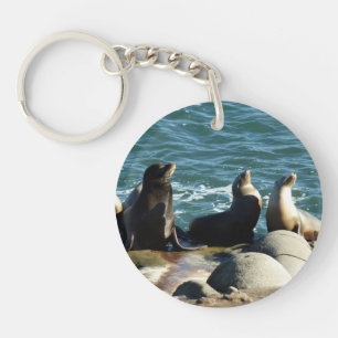 San Diego Zeeleeuwen Sleutelhanger