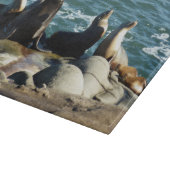 San Diego Zeeleeuwen Snijplank (Hoek)
