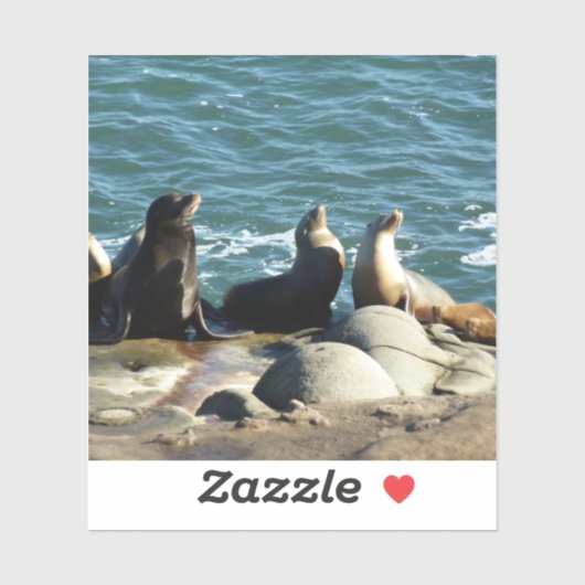 San Diego Zeeleeuwen Sticker (Vel)