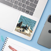San Diego Zeeleeuwen Sticker (Laptop met iPhone)