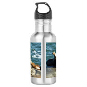 San Diego Zeeleeuwen Waterfles (Achterkant)