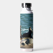 San Diego Zeeleeuwen Waterfles (Links)