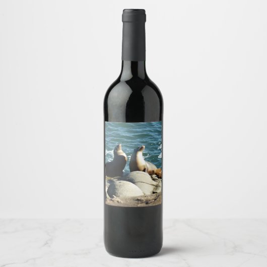 San Diego Zeeleeuwen Wijn Etiket (Voorkant)