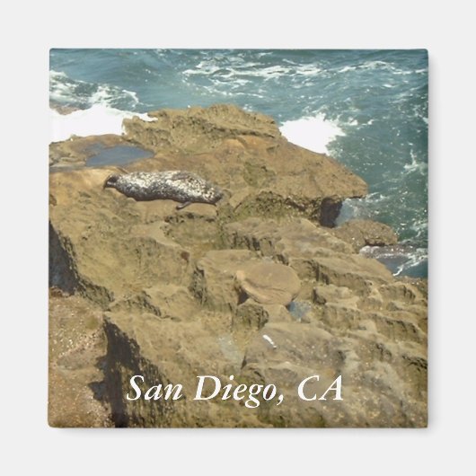 San Diego Zonnebaden Seal Magnet (Voorkant)