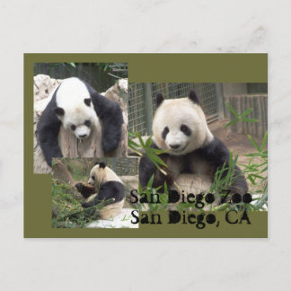 San Diego Zoo Briefkaart