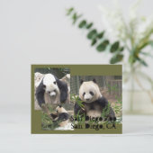 San Diego Zoo Briefkaart (Staand voorkant)