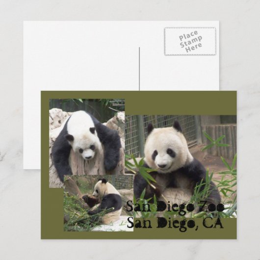 San Diego Zoo Briefkaart (Voorkant / Achterkant)