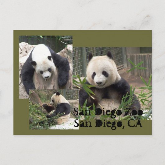 San Diego Zoo Briefkaart (Voorkant)
