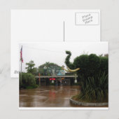 San Diego Zoo Briefkaart (Voorkant / Achterkant)