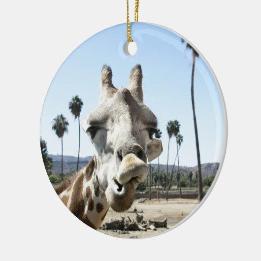 San Diego zoo Keramisch Ornament (Links)