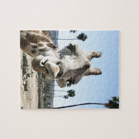 San Diego zoo Legpuzzel (Horizontaal)