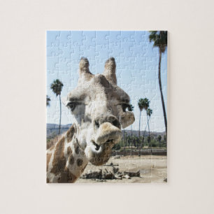 San Diego zoo Legpuzzel
