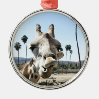 San Diego zoo Metalen Ornament