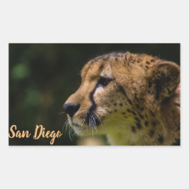 San Diego zoo Rechthoekige Sticker