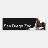 San Diego Zoo Tiger Bumpersticker (Voorkant)