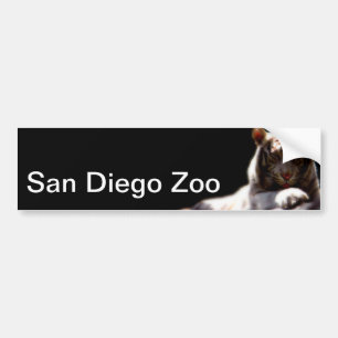 San Diego Zoo Tiger Bumpersticker