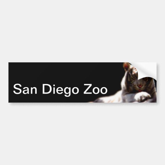 San Diego Zoo Tiger Bumpersticker (Voorkant)
