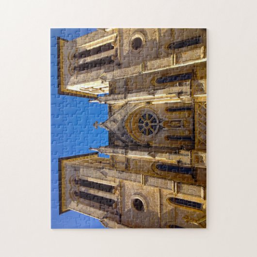 San Fernando Cathedral Texas. Legpuzzel (Verticaal)